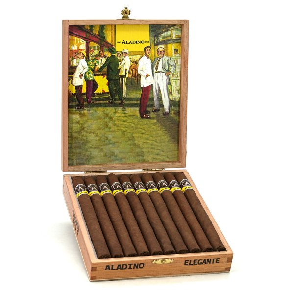 Aladino Corojo Elegante 阿拉丁 科羅霍 優雅